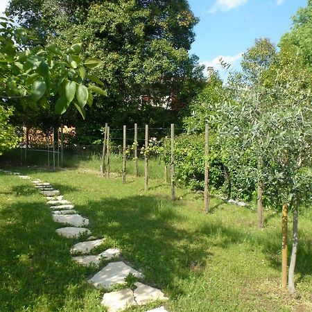 Casa Kaletheia Villa Volpago del Montello Dış mekan fotoğraf