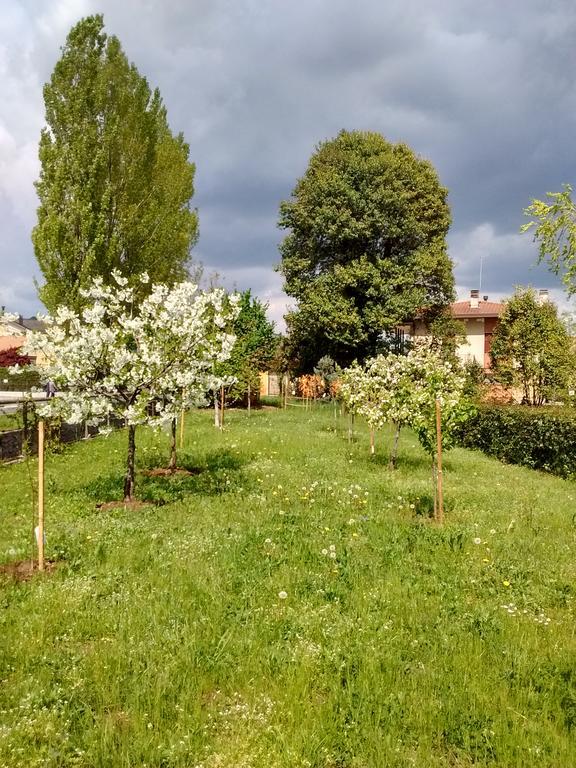 Casa Kaletheia Villa Volpago del Montello Dış mekan fotoğraf